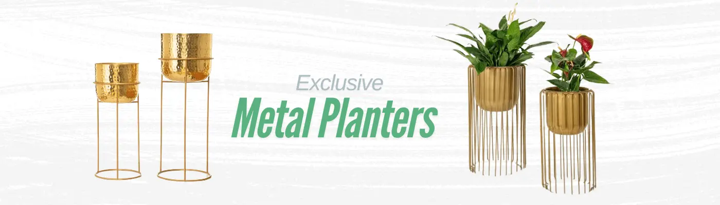 Metal Indoor Planters